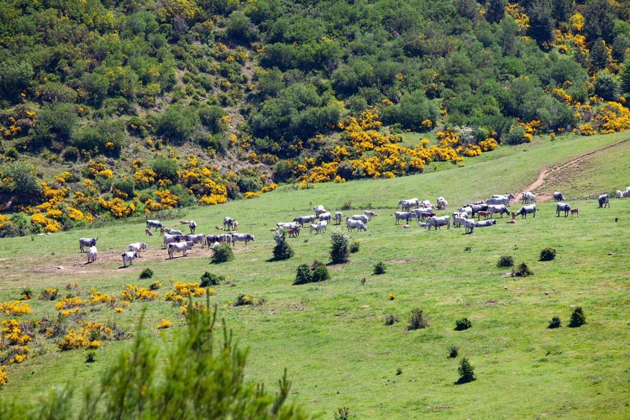 Casa Rural La Majada De Penacorada Guest House Fuentes de Peñacorada Exterior photo